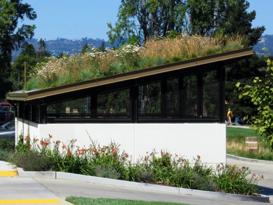 Lake Merritt Green Roof