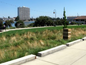Vegetated swale