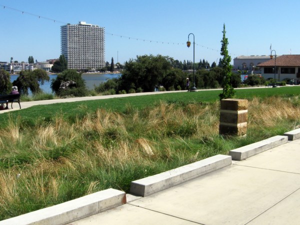 Vegetated swale