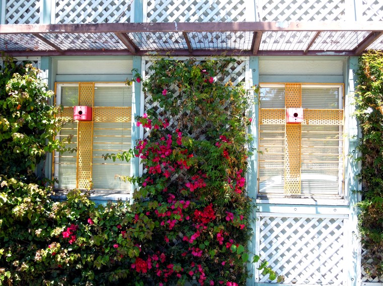 120719 Longfellow 2 birdhouse windows