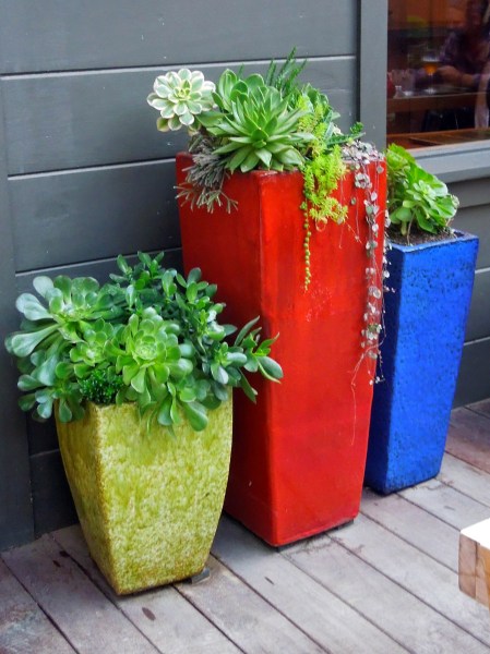 Big Sur Roadhouse Succulents