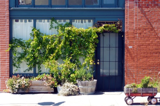 Golden Gate-Radio Flyer-web