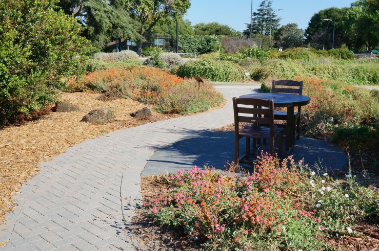 Pervious paving at native demo garden, Taylor & Walnut, San Jose