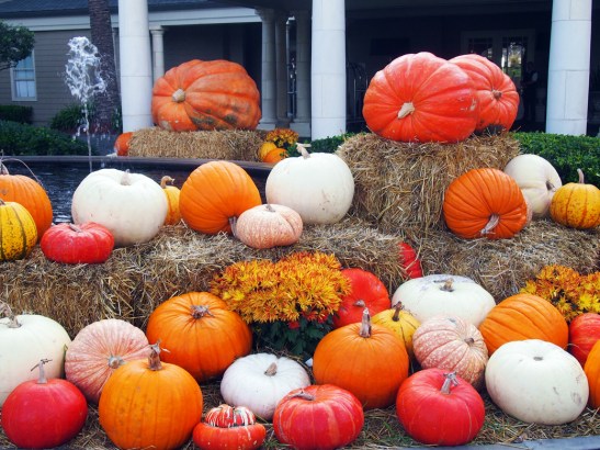 The squashes at the resort entrance were one seasonal touch that fit with the locale