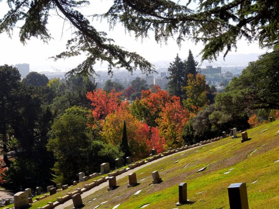 141101 Mtn View Cemetery-fall color-web