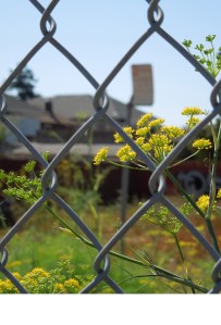 Vacant Lot